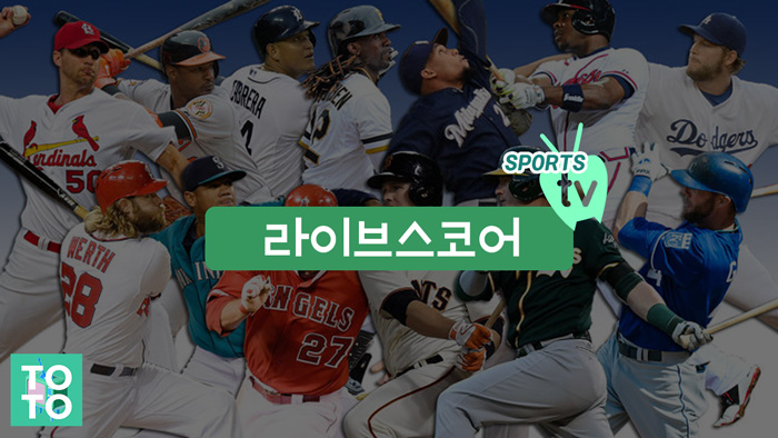 라이브스코어